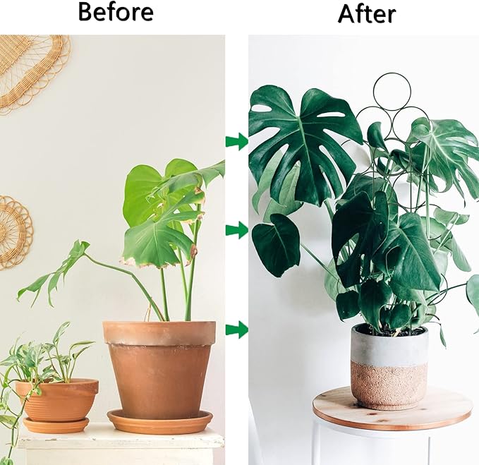 Trellis for Potted Plant Trellis Indoor, Stackable Indoor Trellis for Climbing Plants Support, 3 Pack Small Metal House Plant Trellis for Garden Vines, Flower and Christmas Tree