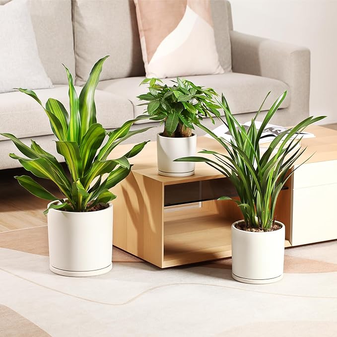 Kazeila Plant Pots Ceramic Planter for Indoor Outdoor Plants Flowers 10 Inch Matte White Large Cylinder Flower Pot with Saucer and Drainage Hole,Glazed Finish Interior and Exterior