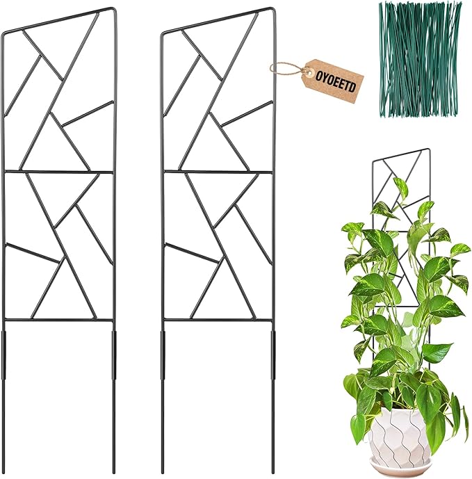Outdoor Plant Trellis for Climbing Plants,Metal Garden Trellis for Potted Plants,Plant Stakes for Indoor Plants Accessories Hoya,Flower,Plant Support,Plant Gifts (24Inch-Window)
