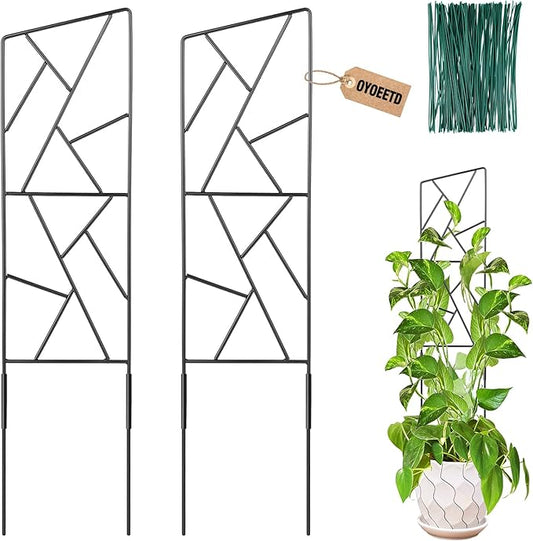 Outdoor Plant Trellis for Climbing Plants,Metal Garden Trellis for Potted Plants,Plant Stakes for Indoor Plants Accessories Hoya,Flower,Plant Support,Plant Gifts (24Inch-Window)