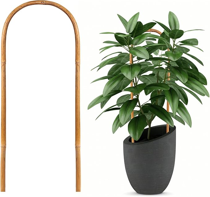 20 Pack Bamboo Trellis, Natural Bamboo Plants Trellis U-Hoop, 16" Garden Trellis with Twist Ties, Bamboo Trellis U-Shape for Climbing Plant Support, Small Potted Plant Trellis for Indoor