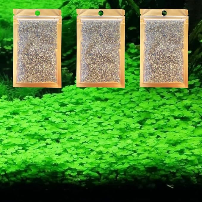 3 Pack Freshwater Aquarium Decor, Easy Growing Dwarf Carpet for Fish Tank/Terrarium, Natural Aquatic Plant Growth Material (Lucky Grass)