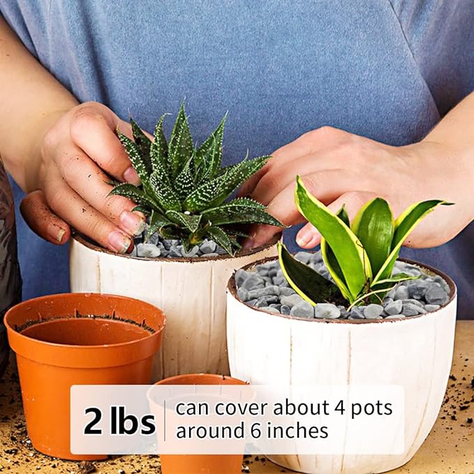 2LB Succulent and Cactus Gravel Pebbles, 1/5 Inch Natural Decorative Polished Stones, River Rocks for Plants, Vases, Aquariums, Terrarium and Outdoor Gardening,Grey