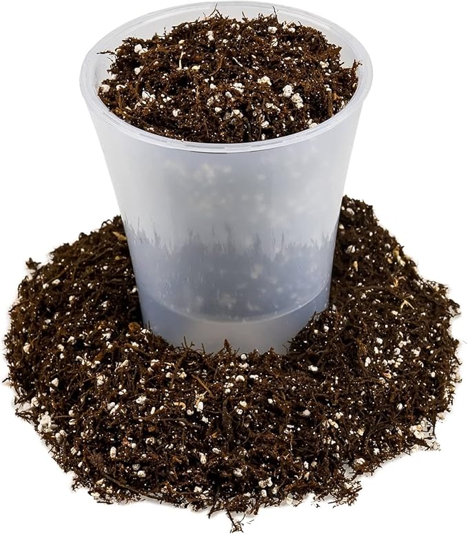 Gardenera Fern + Perlite Soil Mix for Repotting and Planting Succulents and Cactuses - 1 Quart Bag