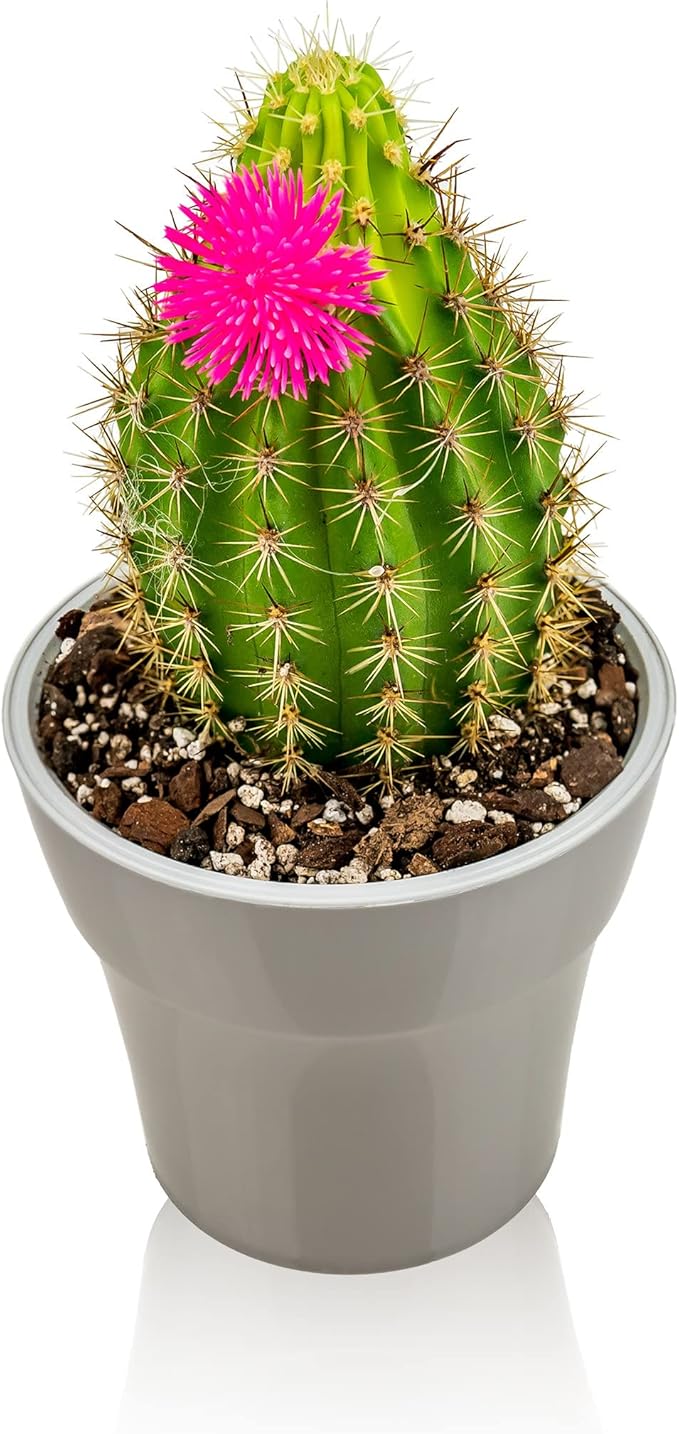 Gardenera Professional Succulent Soil Premium All Purpose Blend | Pre-Mixed Ready to Use for Cactus and Succulents | Sphagnum Peat Moss, Perlite, New Zealand Pine Bark - Made in USA - 4 Quart