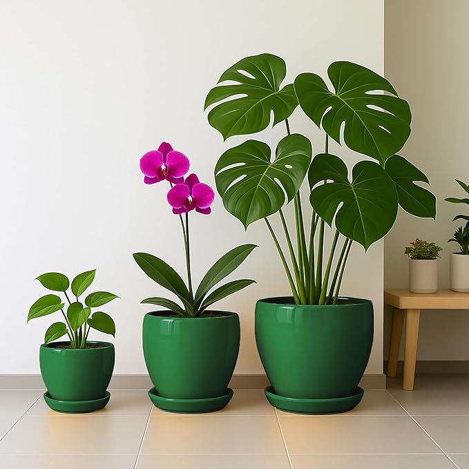 Deep Dream 6 Inch Plant Pots- Ceramic Planter Pot with Drainage Hole and Saucer, Round Flower Pot for Indoor Outdoor Succulent, Snake Plants and Cactus, Green