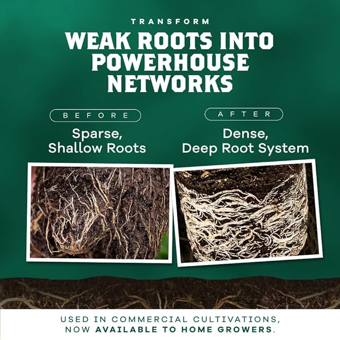 DYNOMYCO Granular Mycorrhizal Fungi Inoculant, 750g / 26.50oz – Boosts Root Growth, Yields & Nutrient Uptake – 900 Propagules/g, Concentrated Granules, & OMRI Listed – Biofertilizer for Plant Growth