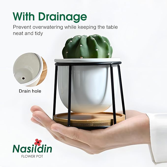 Floating Style Small Succulent Pots-3.7 Inch with Drainage and Tray, Cactus Pot, White Modern Indoor Ceramic Plant Pots (White 2)