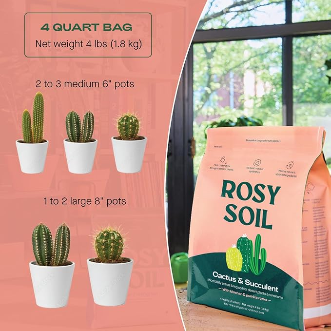 Cactus and Succulent Organic Potting Soil Mix for House Plants - Fast Draining, Root Boosting, Peat-Free, Less Prone to Gnats - Drought-Tolerant - Growth of Aloe Vera, Cacti and Indoor Succulents- 4qt
