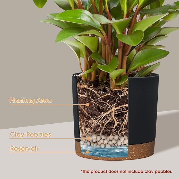 kubvici Plant Pots for Indoor Plants, 2 Pack 12 Inch Pots for Plants, Lightweight Large Planters for Indoor Outdoor, Big Plastic Black Pot Flower Pot with Drainage (12” Black)