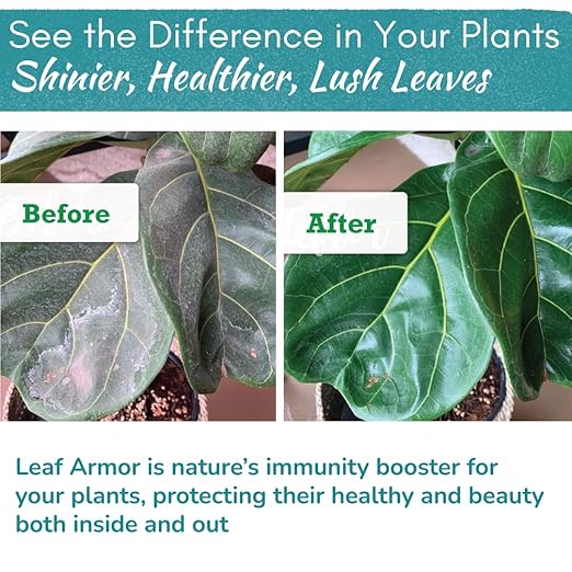 Leaf Armor Spray for Houseplants – Protects Against Fungal Leaf Spots, Bacteria, Pathogens & Yellowing | Natural & Non-Toxic Formula | Ready-to-Use | Made in USA – 8 oz