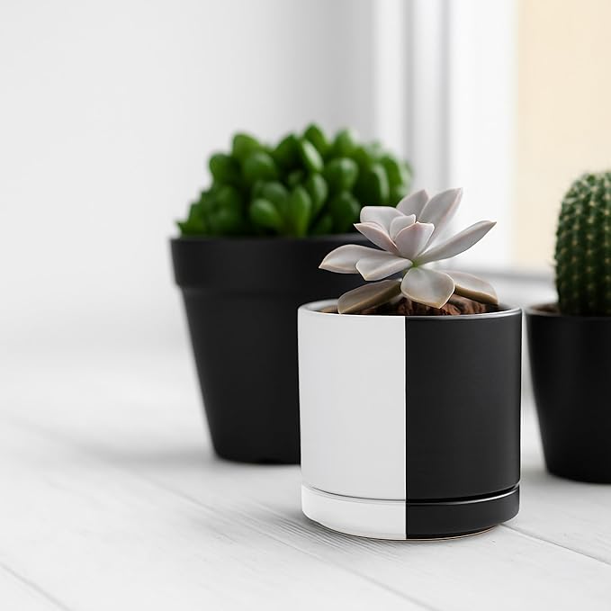 D'vine Dev 3.5 Inch Ceramic Planter Pot with Drainage Hole and Saucer, Indoor Cylinder Round Planter Pot, Split Monochrome Black & White, 94-O-A-0