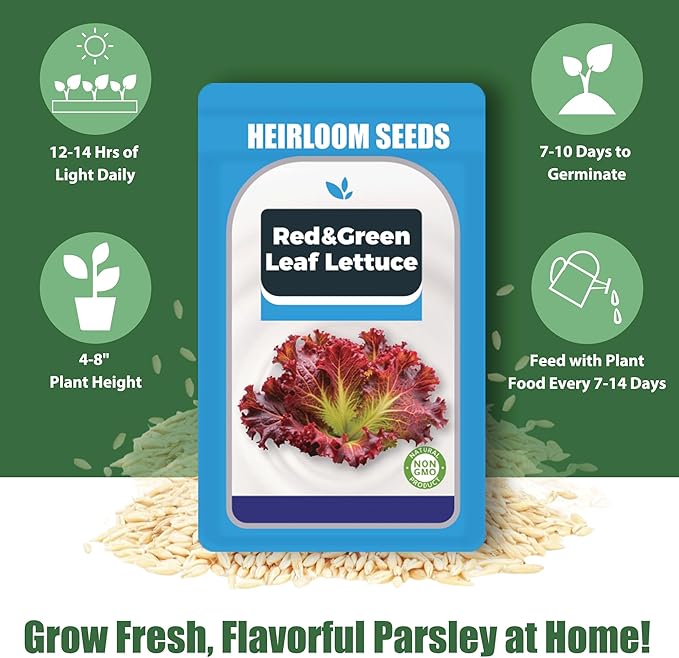 Mixed Greens Seed Pods Kit for Hydroponic, 12 Pods Grow Anything Hydroponics Kit for Indoor Garden, Hydroponics Supplies with 12 Grow Sponges, 12 Plant Baskets, Lettuce Seeds - 12 POD