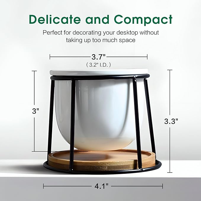 Floating Style Small Succulent Pots-3.7 Inch with Drainage and Tray, Cactus Pot, White Modern Indoor Ceramic Plant Pots (White 2)