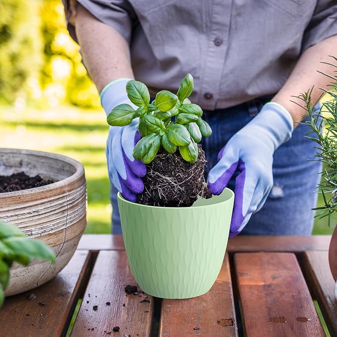 6 Inch Plant Pots, 6 Pack Flower Pots for Indoor and Outdoor Use, Planters with Drainage Holes and Saucers, Colorful