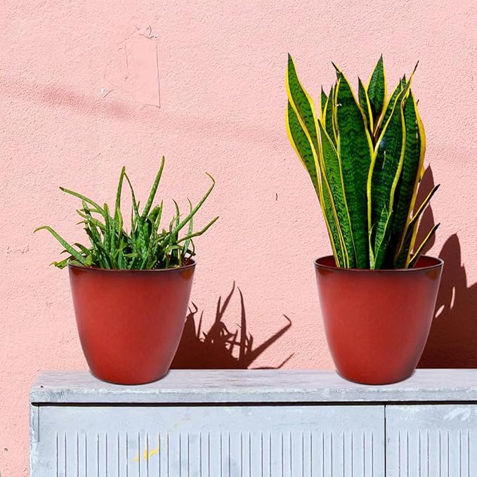 3Pack Plant Pots Durable Decorative Flower Pots,6 Inch Planter Set for Indoor and Outdoor Plants,Flowers,Succulents (Red)