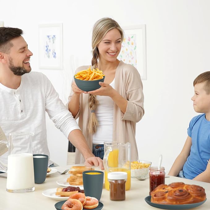 Kitchen Wheat Straw Dinnerware Sets (33pcs) Attached cleaning brush,Service For 8,Plastic Plates and Bowls Sets,Unbreakable Dinnerware,Lightweight Plastic Plate Set (gray)