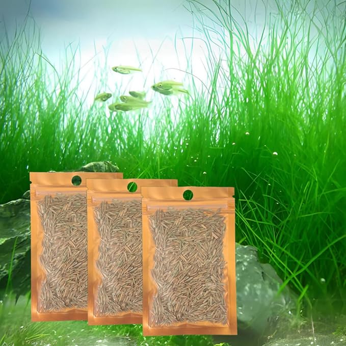 3 Pack Freshwater Aquarium Decor, Easy Growing Dwarf Carpet for Fish Tank/Terrarium, Natural Aquatic Plant Growth Material (Long Hair Grass)