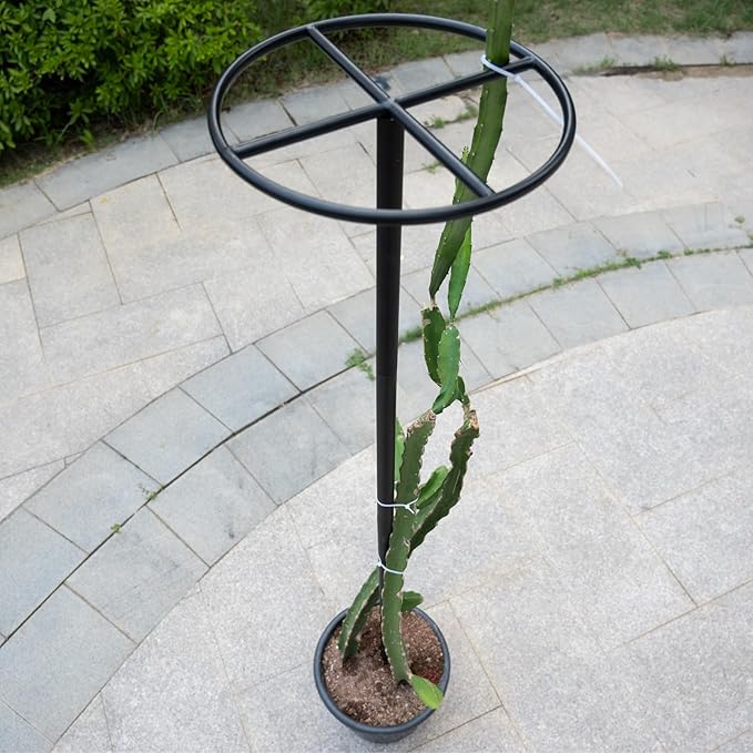 14"x14"x60" 1PCS Dragon Fruit Trellis - Durable Metal Vertical Support Frame for Climbing Plants, Easy Assembly with Instructions, for Dragon Fruit Enthusiasts