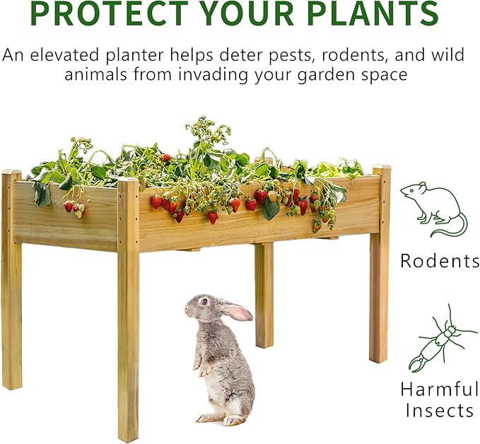 Premium Fir Wooden Raised Garden Bed with Four Legs for Backyard and Balcony Gardening,Suitable for Indoor and Outdoor use,49.5''×23.5''×30''