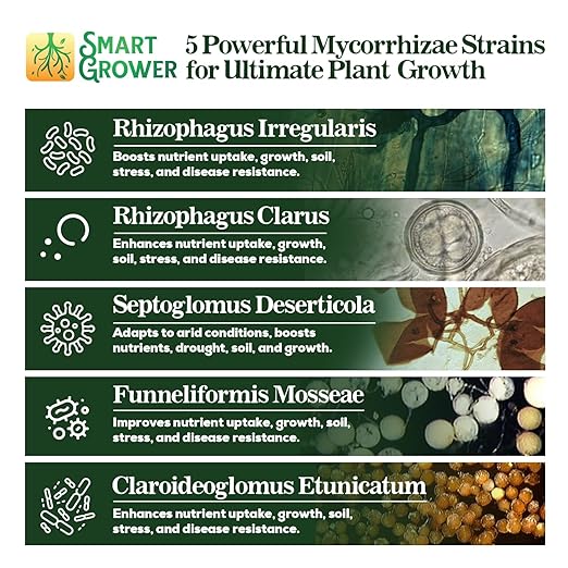 Mycorrhizal Fungi Organic Root Enhancer for Plants, Super Potent 100 Spores Per Gram, 5-Strain Blend, Rapid Results for Gardens, Houseplants, Lawns, Mycorrhizae Smart Grower 250 Grams for 250 Plants