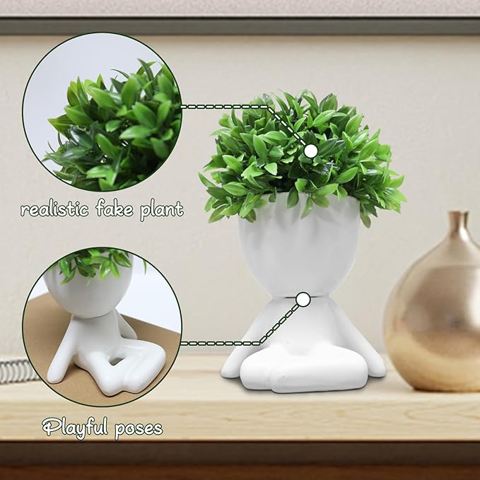 Zerzsy Mini Succulent Plant - Plants Gift - Cute Office Decor for Women - Office Decorations for Work DeskWomen - Desk Plants Decorations for Shelf- Set of 1