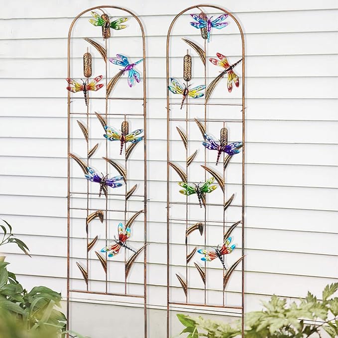 LEWIS&WAYNE 2 Pack Metal Garden Trellis with Colorful Dragonfly 60 Inch High Outdoor Decoration Arched Fence Trellis for Climbing Plants for Patio, Lawn, Yard, Backyard, Wall Brackets
