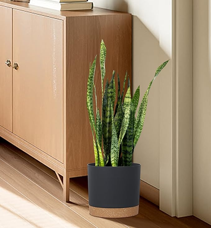 kubvici Plant Pots for Indoor Plants, 2 Pack 10 Inch Plant Pot Plastic Flower Pots Planters with Drainage Saucer for Indoor Outdoor Garden Home (10" Black)