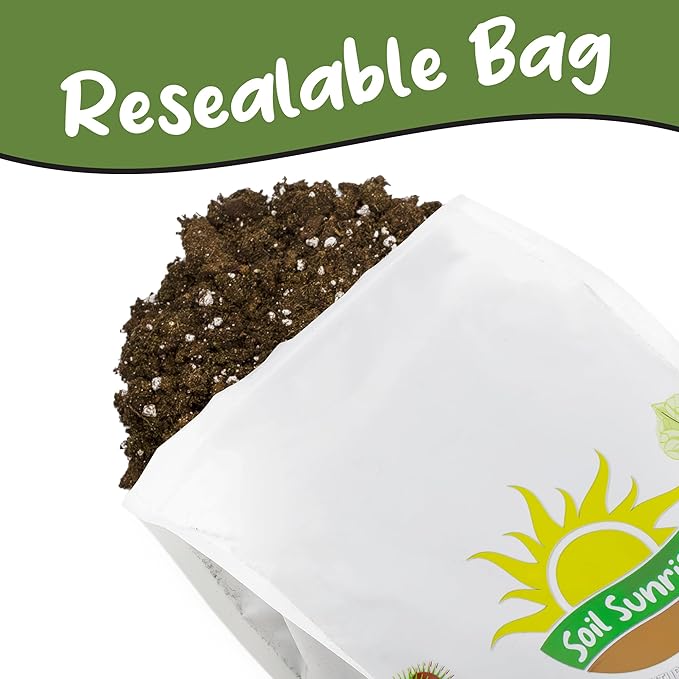 Fern Plant Potting Soil Mix (8 Quarts), Custom Hand Blended Mixture for Indoor/Outdoor Container Gardening