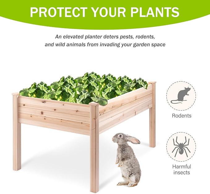 Backyard Expressions 48"x34" Raised Garden Bed - Elevated Wood Planter Box for Healthy Plant Growth, 440 lb Capacity - Natural Color