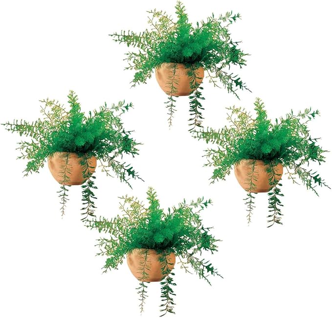 Miles Kimball Mysterious Air Fern, Set of 4 – Water & Soil Free House Plant