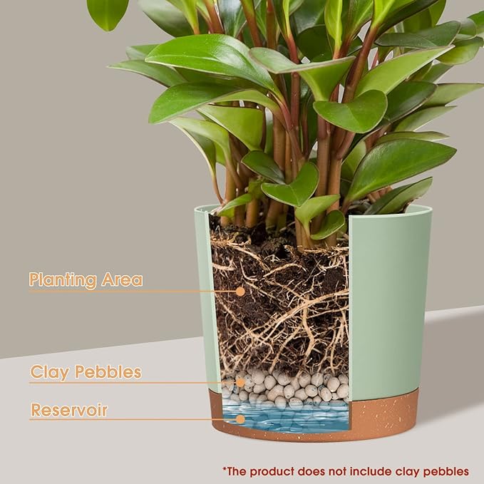 kubvici Indoor Plant Pots Set of 2 Planters 8 inch Plastic Planter with Hole & Saucer Modern Decorative for Outdoor Garden Home (Green, 8 inch)