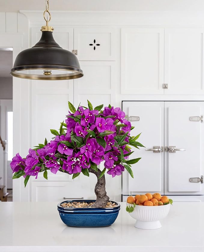 Briful Artificial Bougainvillea Bonsai Tree 18.5" Silk Bougainvillea Plant with Blue Pot Fake Bougainvillea Floral Tree for Home Office Room Desk Shelf Zen Décor(Purple)