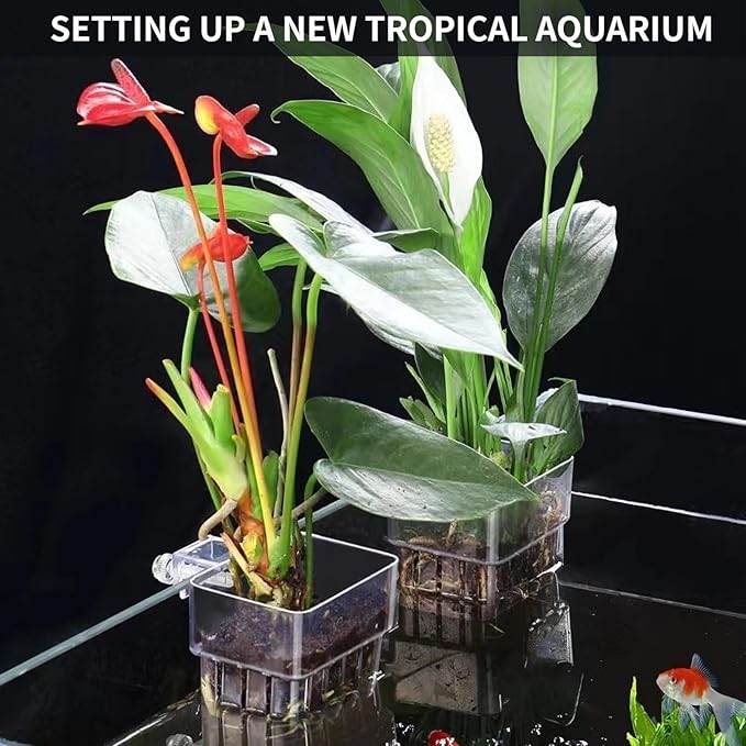 2 PCS Aquarium Plant Holder Top Hanging Fish Tank Plant Pot Aquarium Planter Cups for Water Feature Decoration