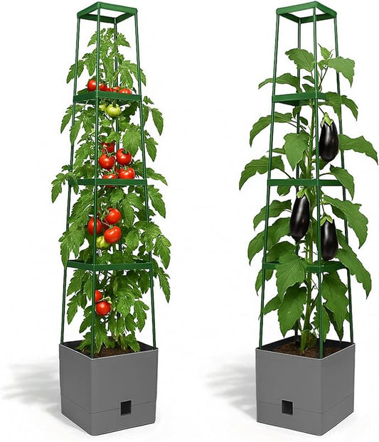 Bio Green 2 Pack Garden Tomato Planter MAXITOM, with Plant Support Trellis 59 inch and Self Watering, 4,2 Gal Planter Box for Climbing Vegetables Plants, Gray