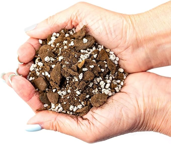 GARDENERA Palm Tree Potting Mix - The Ultimate Soil for Strong and Healthy Palms - Top Choice for Palm Tree Growers [2 Quart Bag]