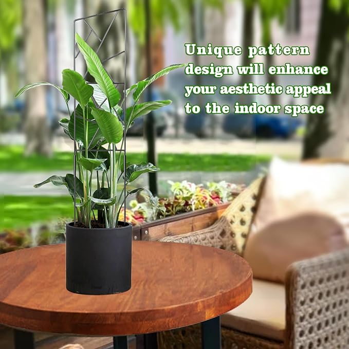 Outdoor Plant Trellis for Climbing Plants,Metal Garden Trellis for Potted Plants,Plant Stakes for Indoor Plants Accessories Hoya,Flower,Plant Support,Plant Gifts (24Inch-Window)