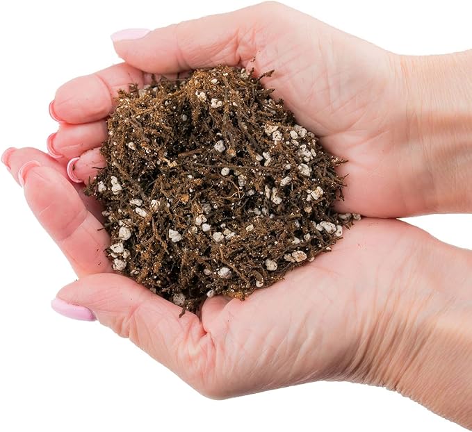 Gardenera GARDENERA Aglaonema Plant Potting Soil - Enhance Foliage Beauty and Health with Professional Grade Nutrient-Rich Mix - 3 Quart, MAIN-AGLAONEMA-3QT