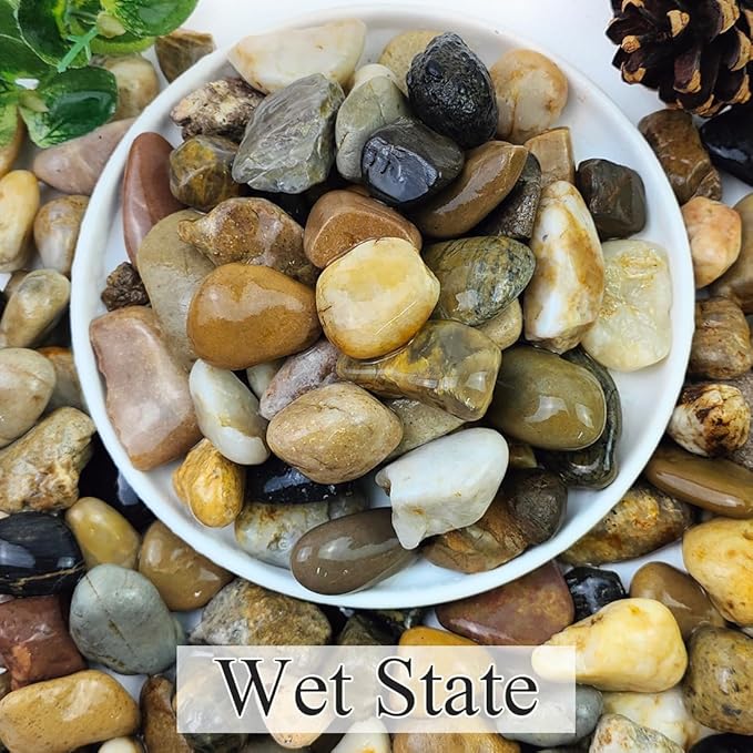 2lbs Aquarium Rocks, 5/8" Natural Mixed Pebbles for Plants Decorative Polished River Rocks for Fish Tank, Landscaping, Gardening, Flower Pots, Vase Fillers, Indoor Water Fountains,