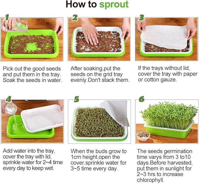 4 Layers Sprout Trays with Extra Strength Plastic Shelf Soil-Free Healthy Wheatgrass Seeds Grower & Storage Trays for Garden Home Office