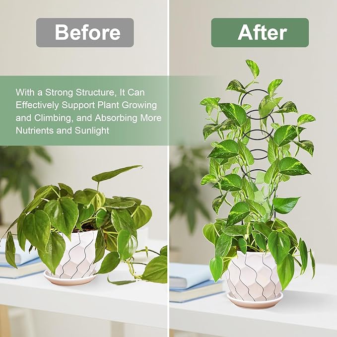 17.5 Inch Plant Trellis Indoor for Climbing Plants,Metal Trellis,Small Garden Trellis for Potted Plants,Plant Stakes for Indoor Plants Accessories Hoya,Flower,Plant Support,Plant Gifts(Circular-Metal)