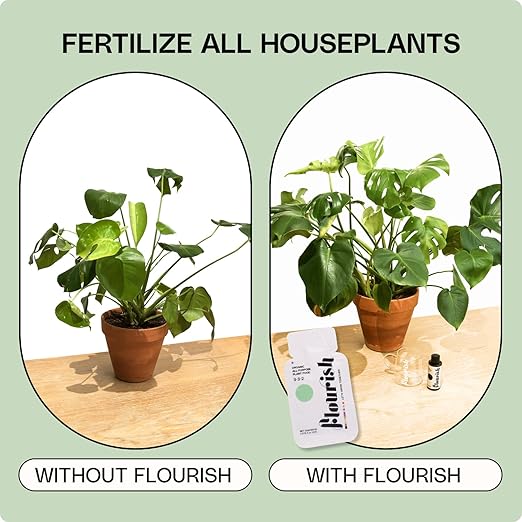 10 Individual Single Use Packets - Flourish Plant Organic All-Purpose Fast Acting Plant Food 3-3-2 Fertilizer for Indoor Plants - CDFA Certified, 0.078 fl oz, (2 Packs of 5 Single Servings) USA Made