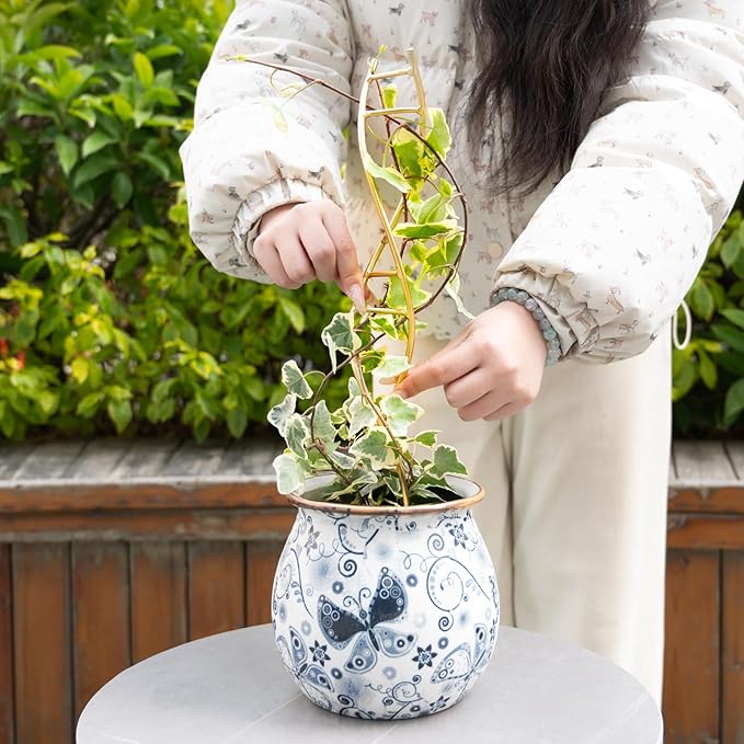 3PCS DNA Plant Trellis Indoor and Outdoor - Lightweight Metal Trellis for Potted Plants, Hoya & Pothos Climbing Support, Artistic Geometric Design, Durable & Easy Installation