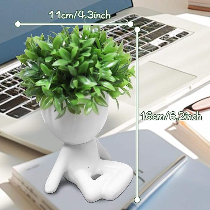 Zerzsy Mini Succulent Plant - Plants Gift - Cute Office Decor for Women - Office Decorations for Work DeskWomen - Desk Plants Decorations for Shelf- Set of 1
