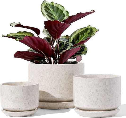 LE TAUCI Ceramic Plant Pots, 4.3+5.3+6.8 inch, Set of 3, Planters with Drainage Hole and Saucer, Indoor Flower Pot with Hole Mesh Pad, Gifts for Mom, Reactive Glaze Beige