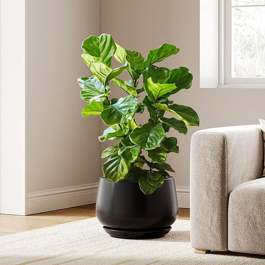 LE TAUCI Ceramic Planters, 12 Inch Pots for Plants, Indoor Plant Pots with Drainage Holes and Saucers, Modern Planters Fit Mid Century Plant Stand, Flower Pots for Indoor Plants, Black