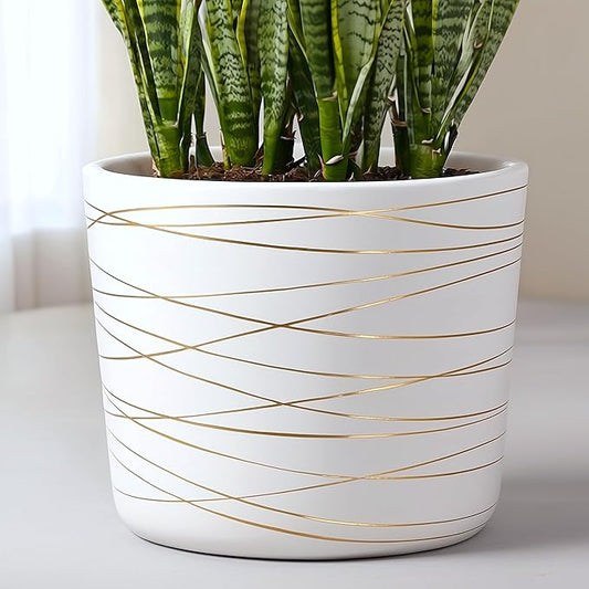 Willowy 12 Inch Ceramic Pot - Slightly Tapered Matte White with Metallic Gold Stripes - Drainage Plug Included