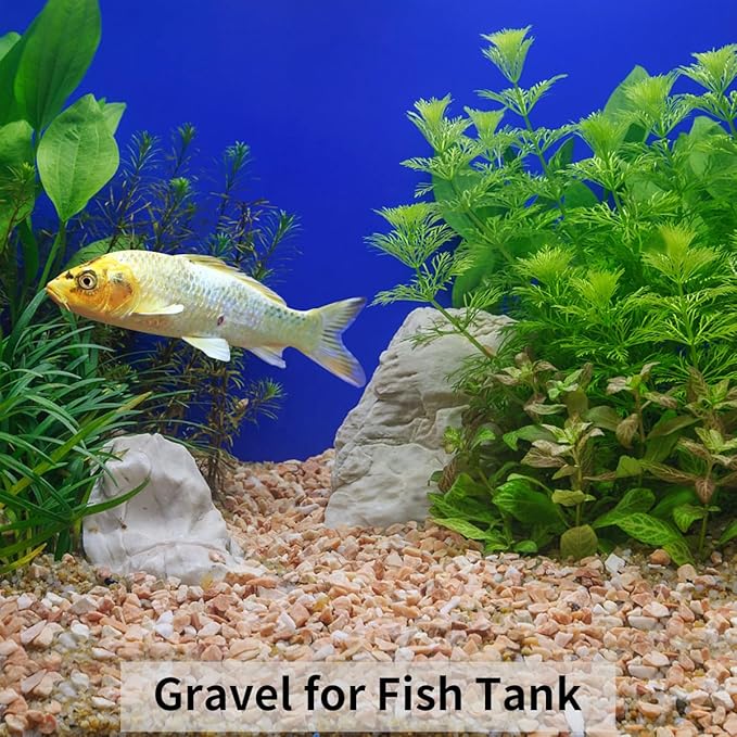 2 lbs Pea Gravel - 3/8 Inch Small Pebbles Rocks for Indoor Plants, Succulents, Cactus, Fish Tank, Terrarium, Landscaping and Decorative Stones(32 oz, 6-9 mm)