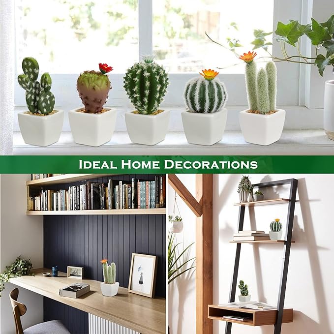 Mini Artificial Cactus Plants in Ceramic Pots 6 Pcs Potted Faux Succulents in Pots Fake Potted Plants Cactus Decor Small Artificial Plant for Home Decor Indoor Office Desk Tabletop Shelf