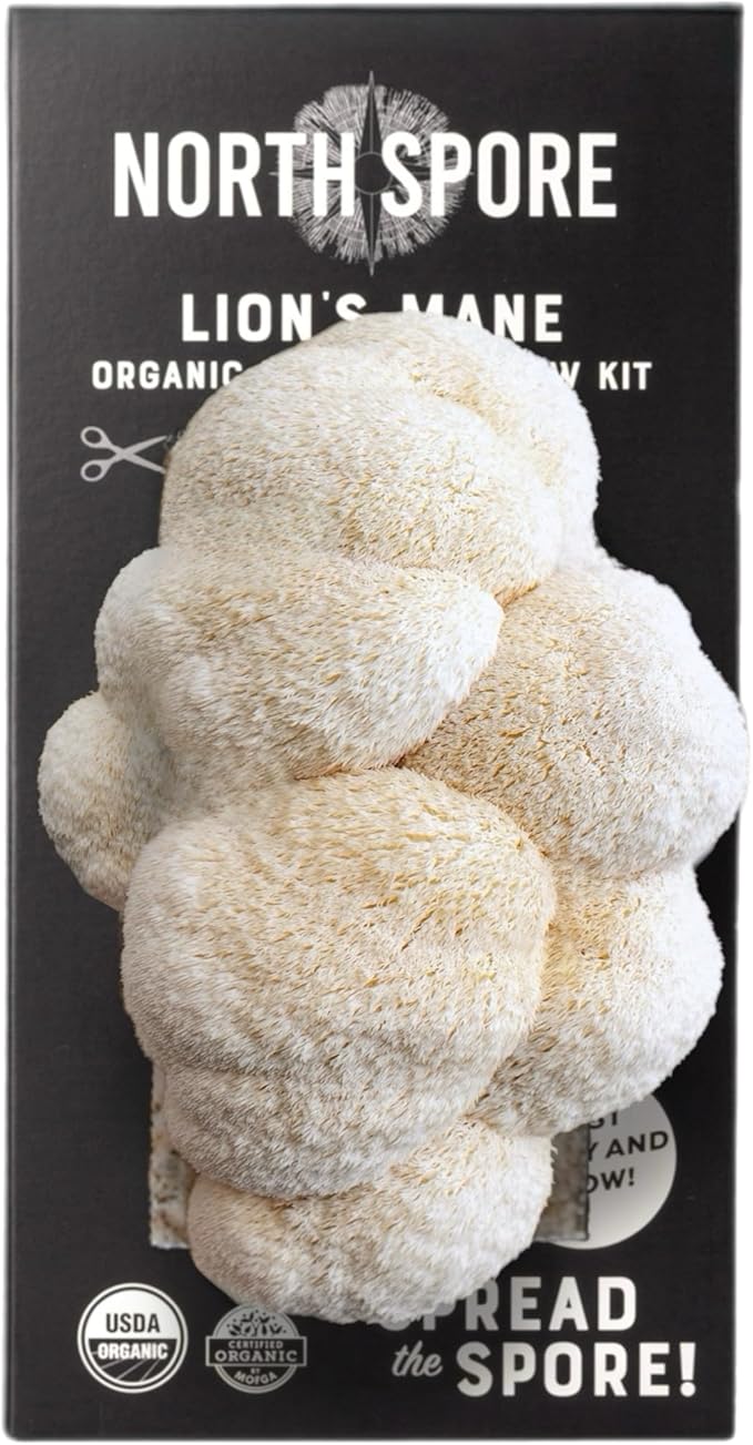 (2-Pack) North Spore Organic Blue Oyster & Lion's Mane Mushroom Spray & Grow Kits (4 lbs each) | USDA-Certified Organic, Non-GMO, Beginner-Friendly & Easy to Use | Handmade in Maine, USA